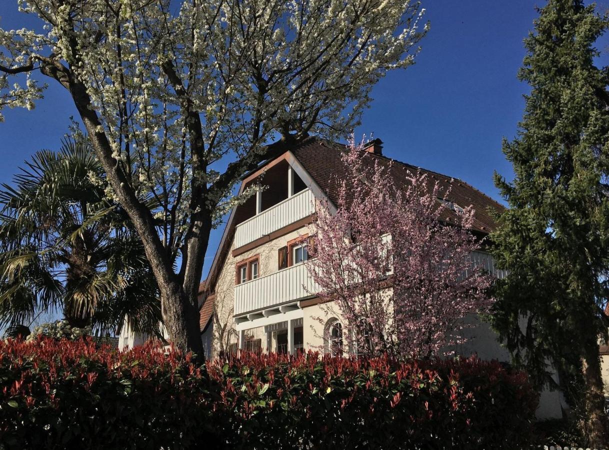 Apartment Dashaus *