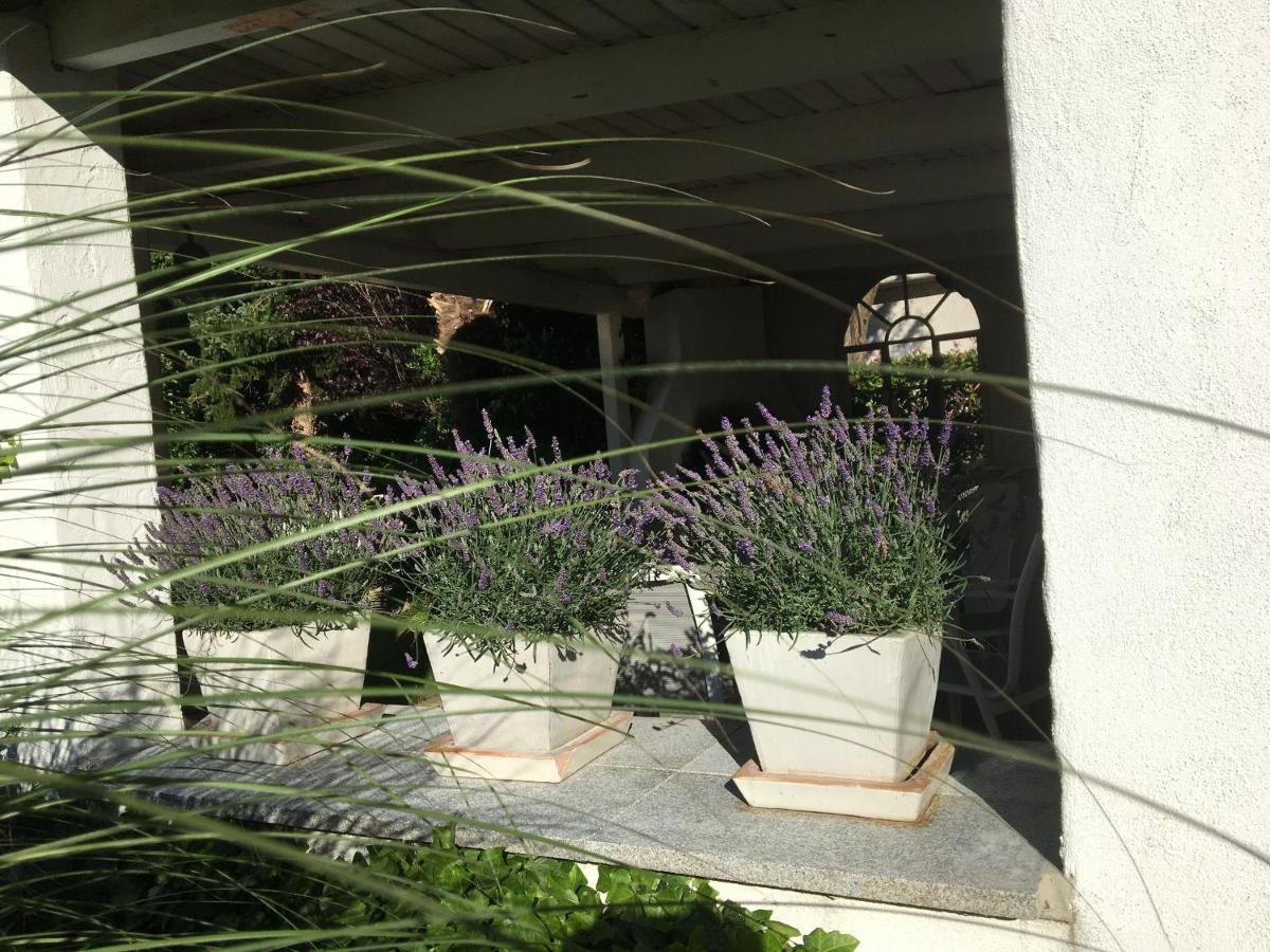 Dashaus Apartment Rheinfelden (Baden)