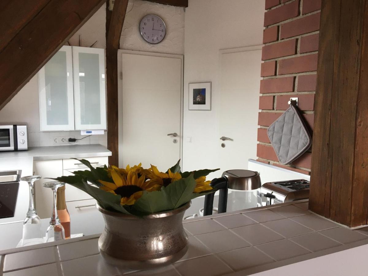 Dashaus Apartment
